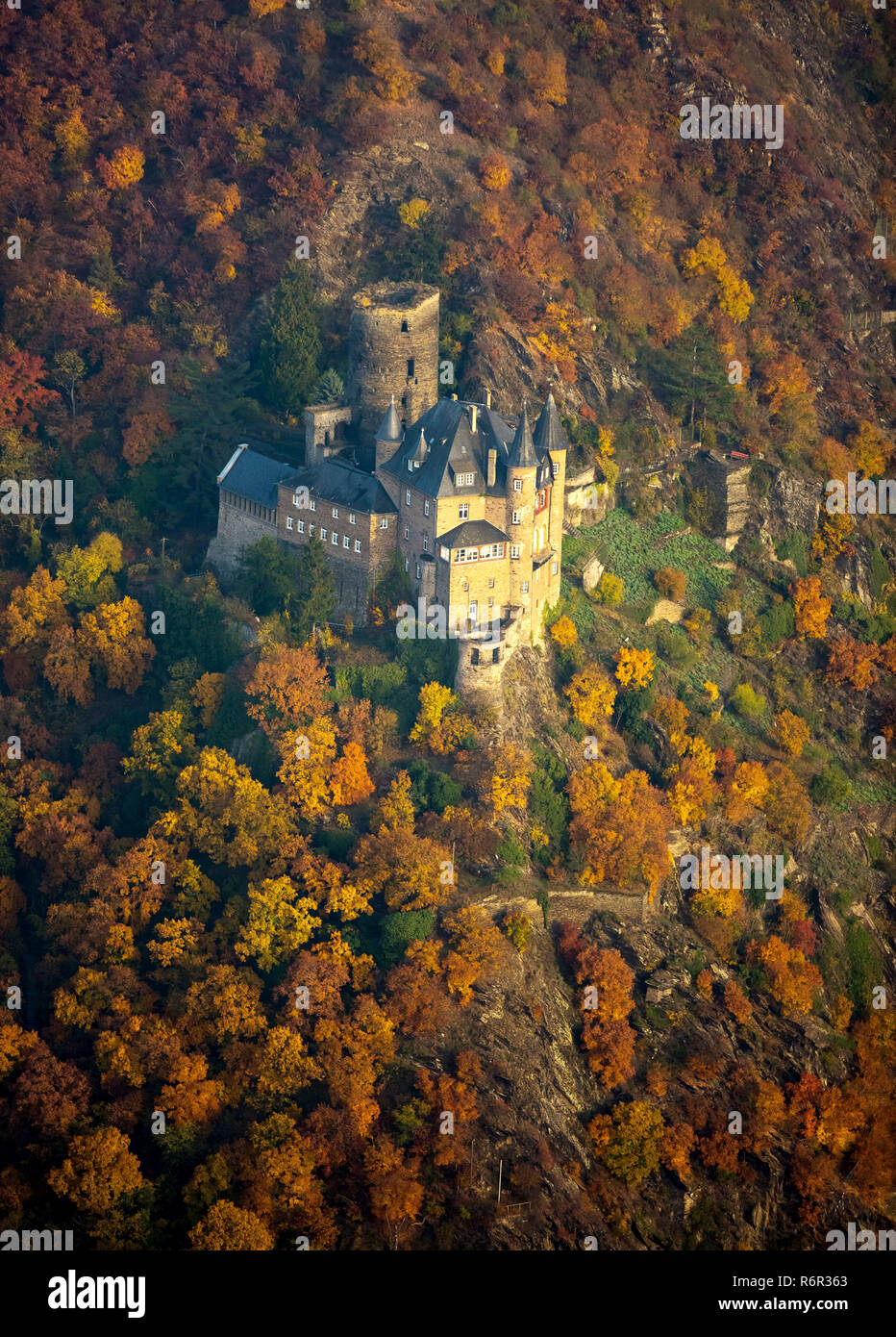Burg Katz im Rheintal, Rhein bei St.Goarshausen Sankt Goar, Rheintal, Renania-Palatinato, Deutschland Foto Stock
