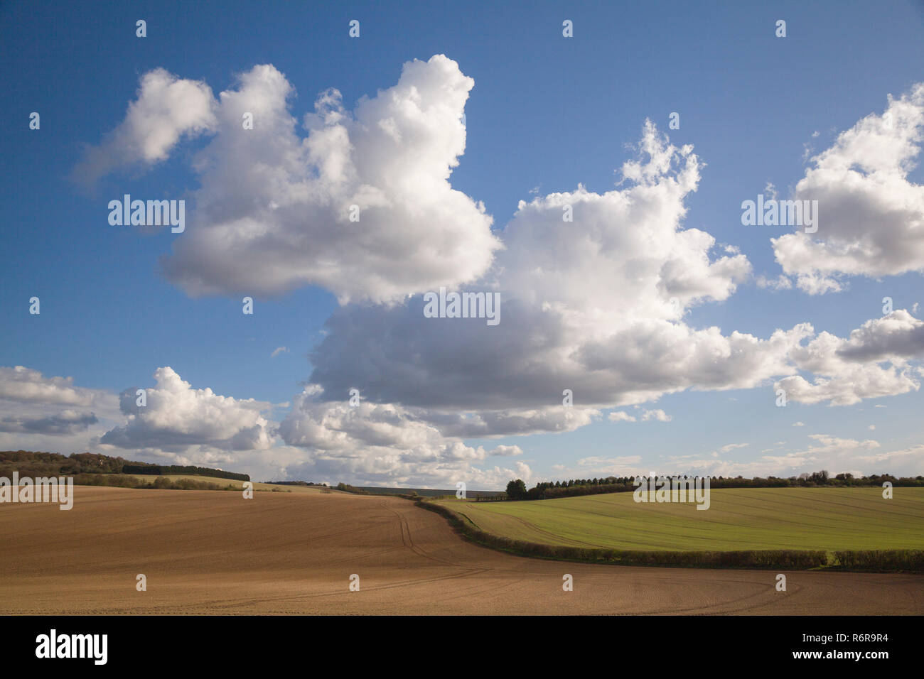 Cumulus nuvole sopra il Ewelme Downs, Oxfordshire Foto Stock