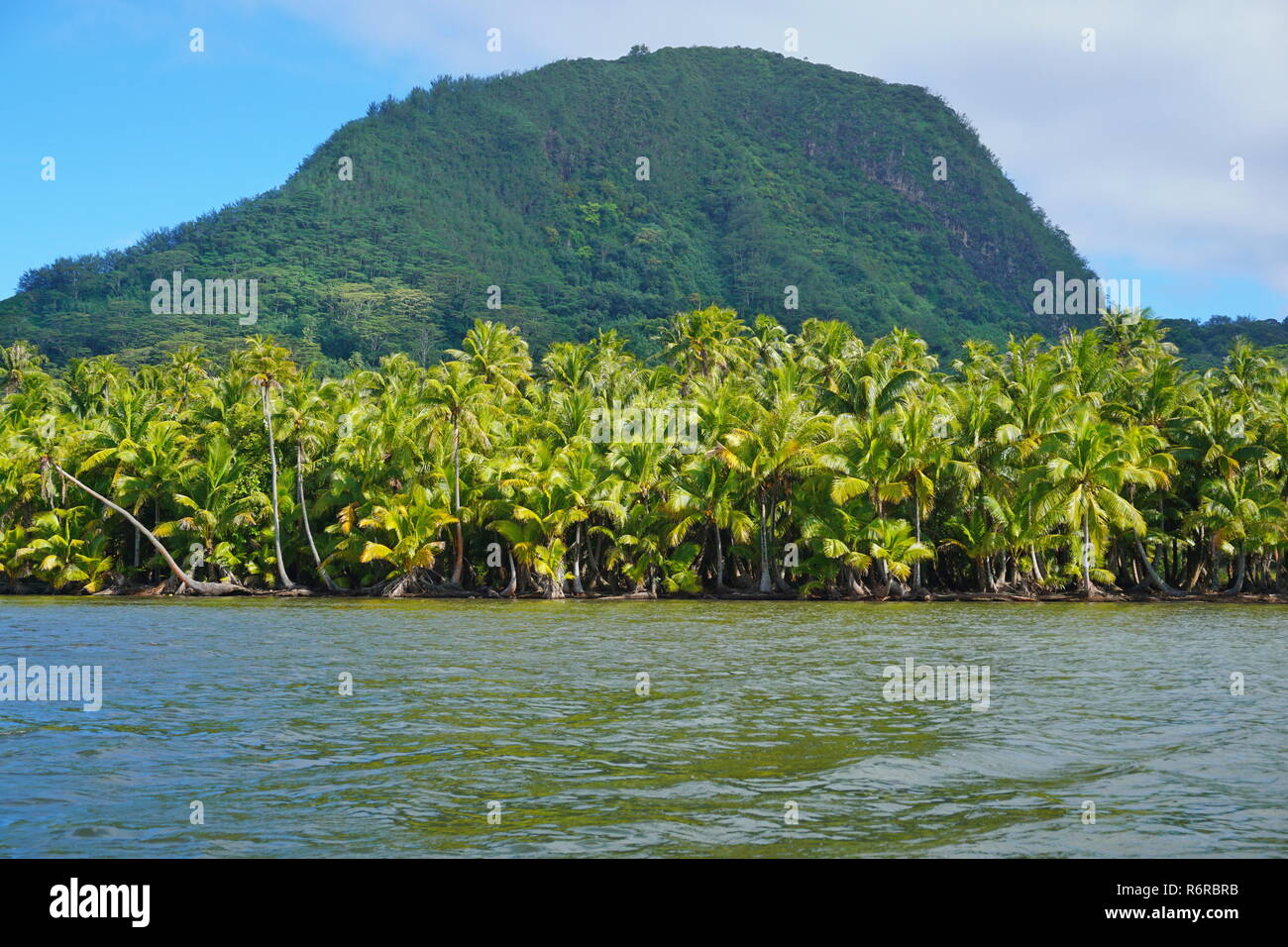 Lussureggianti palme di cocco sulla riva del lago Fauna Nui con il monte Moua Tapu in background, Huahine isola, Polinesia francese, Sud Pacifico Foto Stock