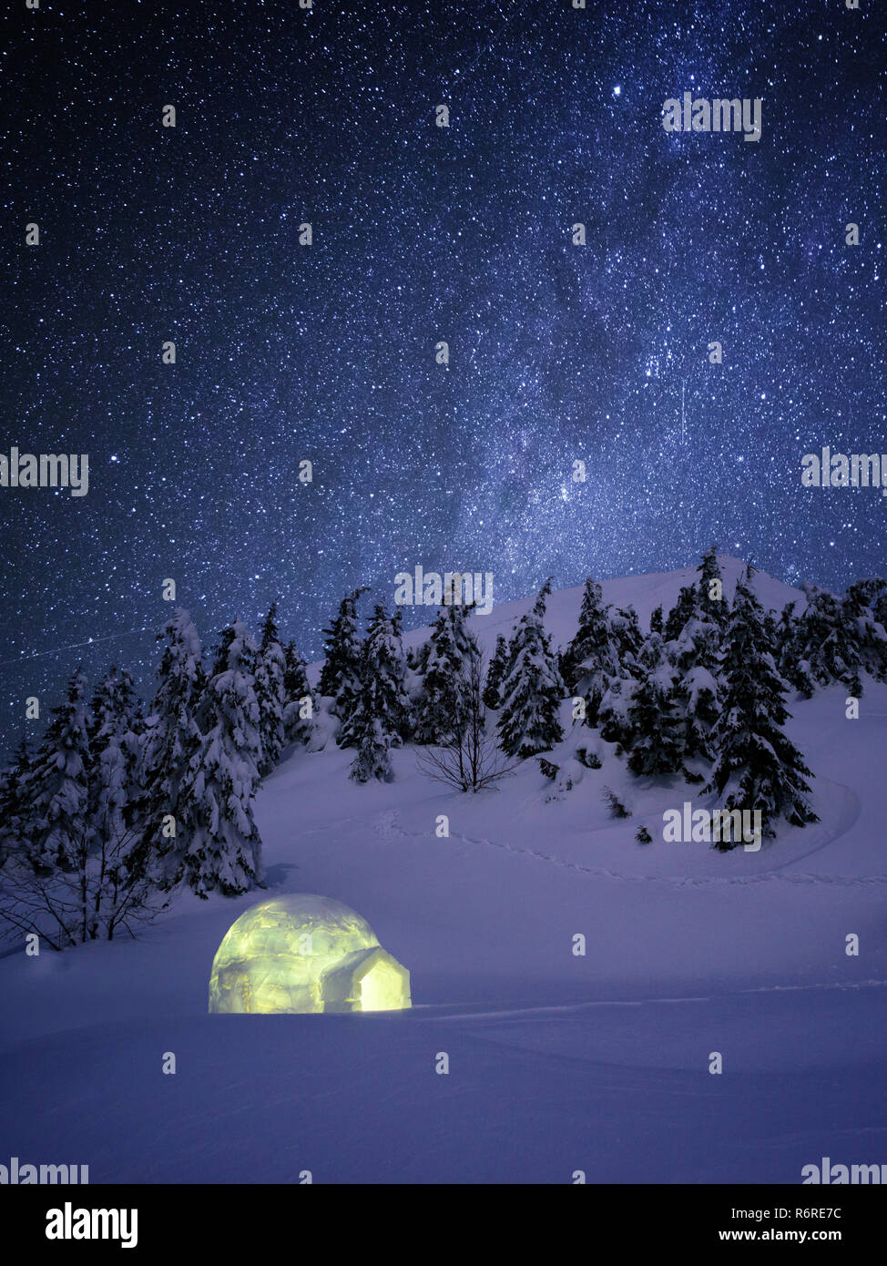 Wonderland notte d'inverno. Igloo neve nella foresta di abeti sotto un cielo stellato. Un rifugio in montagna escursione invernale Foto Stock