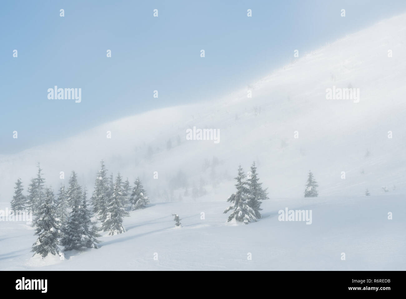 Tempesta di neve in montagna. Paesaggio invernale con brutto tempo Foto Stock