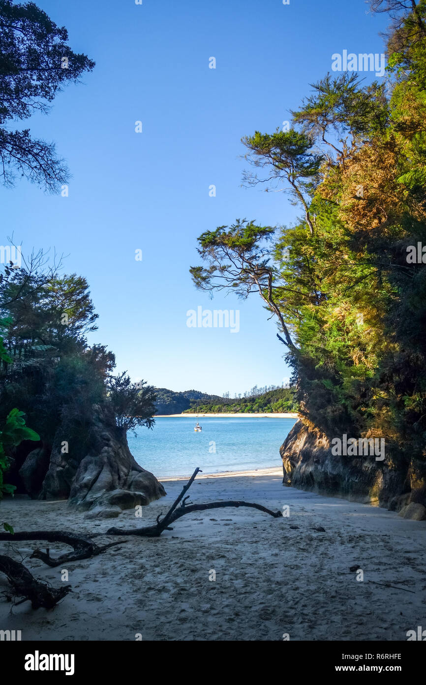 Creek al tramonto nel Parco Nazionale Abel Tasman, Nuova Zelanda Foto Stock