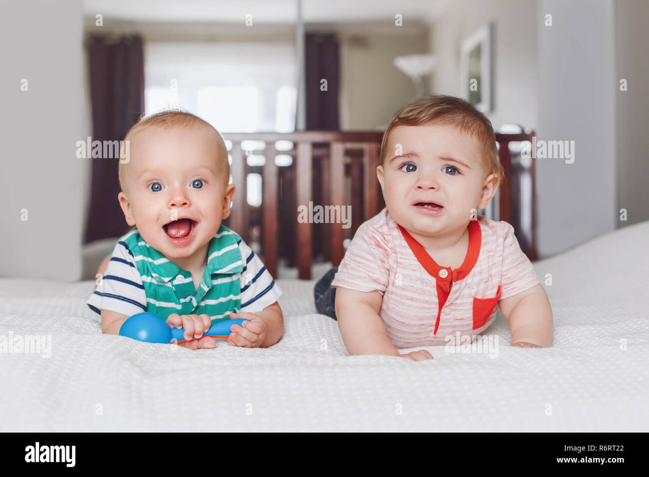 Ritratto di gruppo di due white Caucasian carino adorabile divertente baby boys giacente insieme sul letto giocattolo di condivisione. Amicizia concetto di infanzia. Migliori amici in avanti Foto Stock