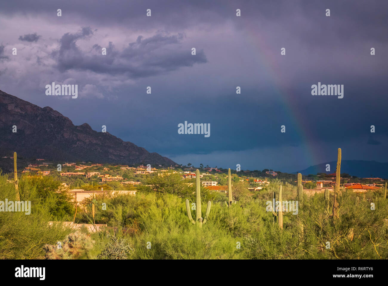 Un brillante arcobaleno oltre la periferia di Tucson Foto Stock