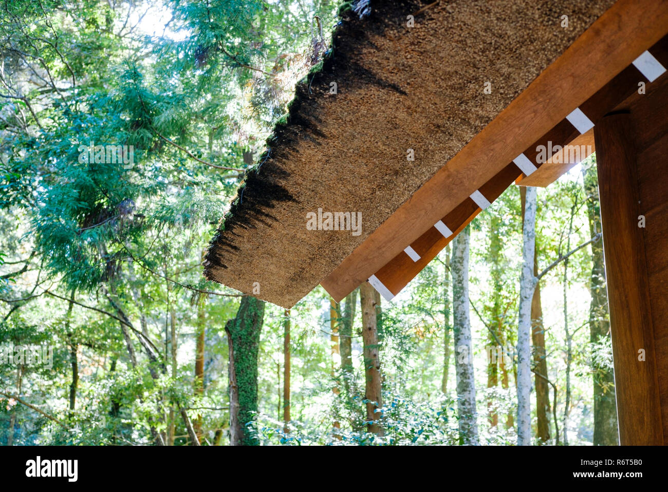 Ise Grand Santuario, Prefettura di Mie, Giappone: dettaglio del tetto interno (Santuario Naiku) composto Foto Stock