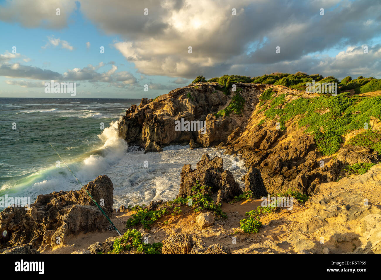 Canna da pesca a sinistra lungo il crinale Makawehi, Poipu, Kauai Foto Stock