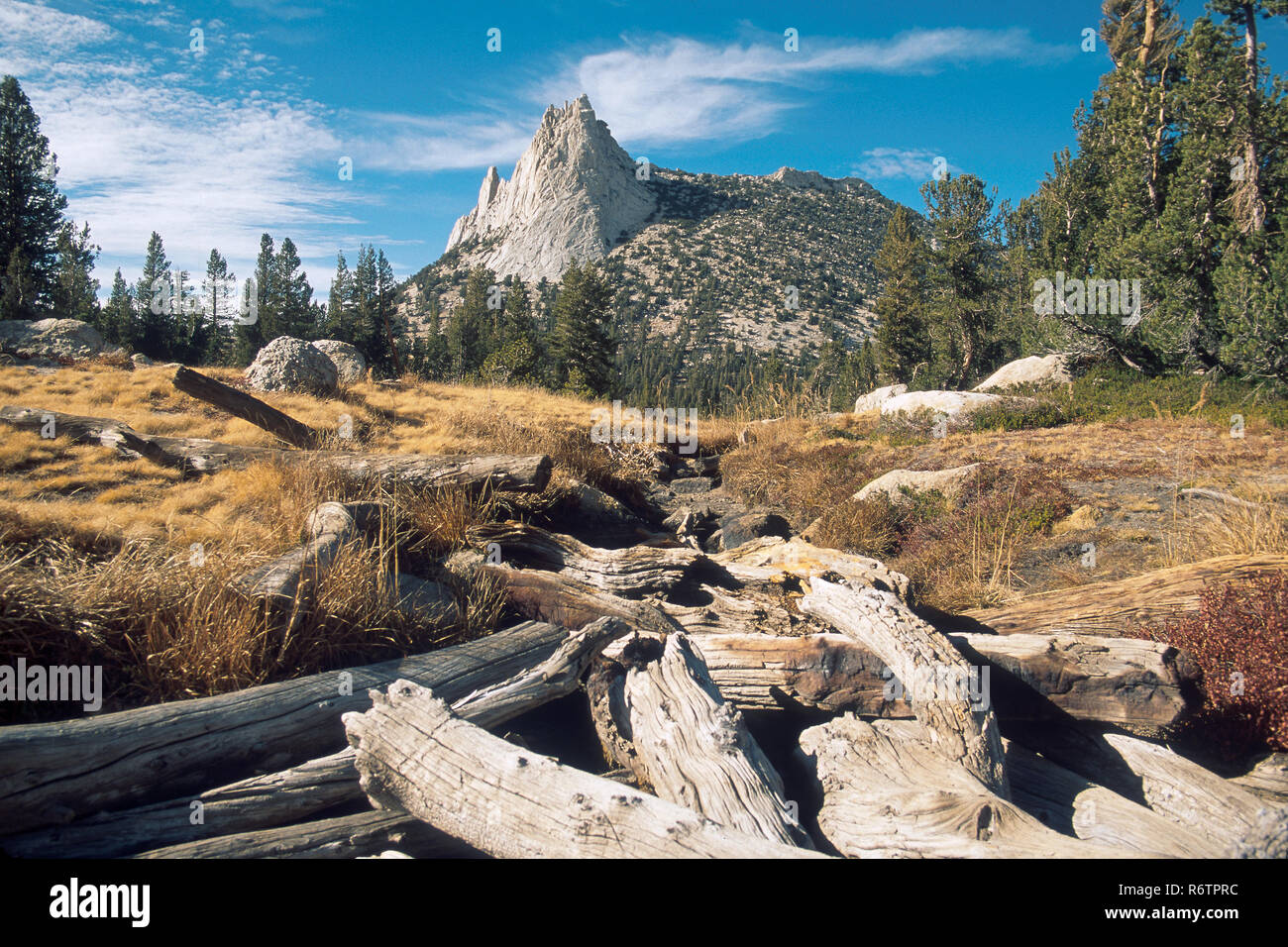 Log Jam sull'uscita di Budd Lake con la Cattedrale di picco come sfondo, Tuolumne Meadows, del Parco Nazionale Yosemite in California Foto Stock