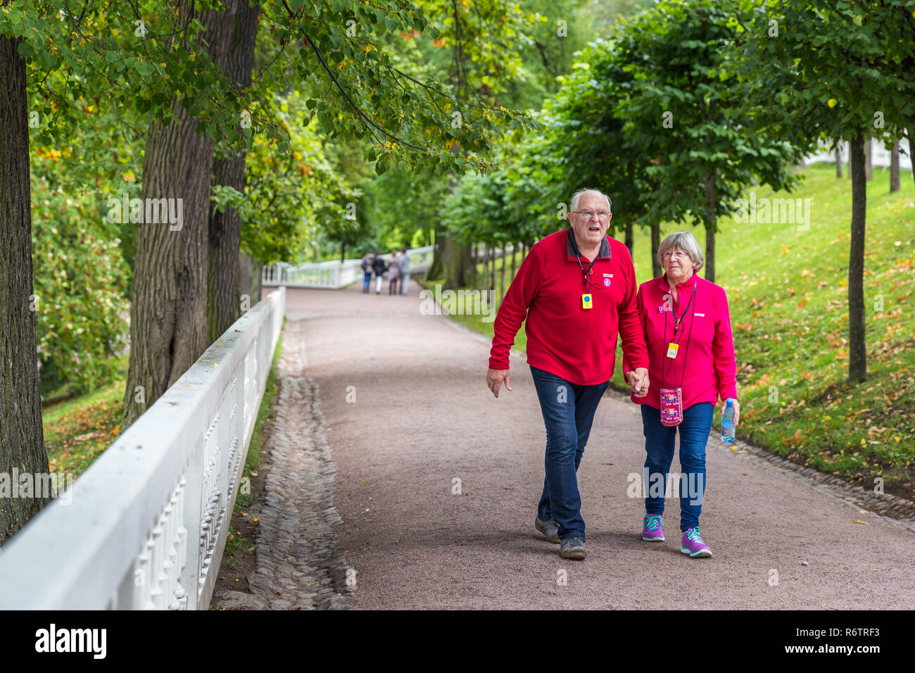 San Pietroburgo, Russia - 20 Settembre 2017: maglietta rossa coppia di anziani tenendo la mano e camminare sul pendio per avvistare vedere all'interno di green park. Foto Stock