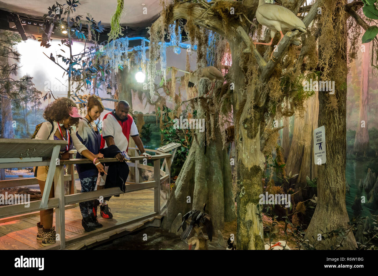 Una famiglia esplora il Okefenokee Swamp nel 'una passeggiata attraverso il tempo in Georgia" mostra a Fernbank Museum di Storia Naturale di Atlanta, Georgia. Foto Stock