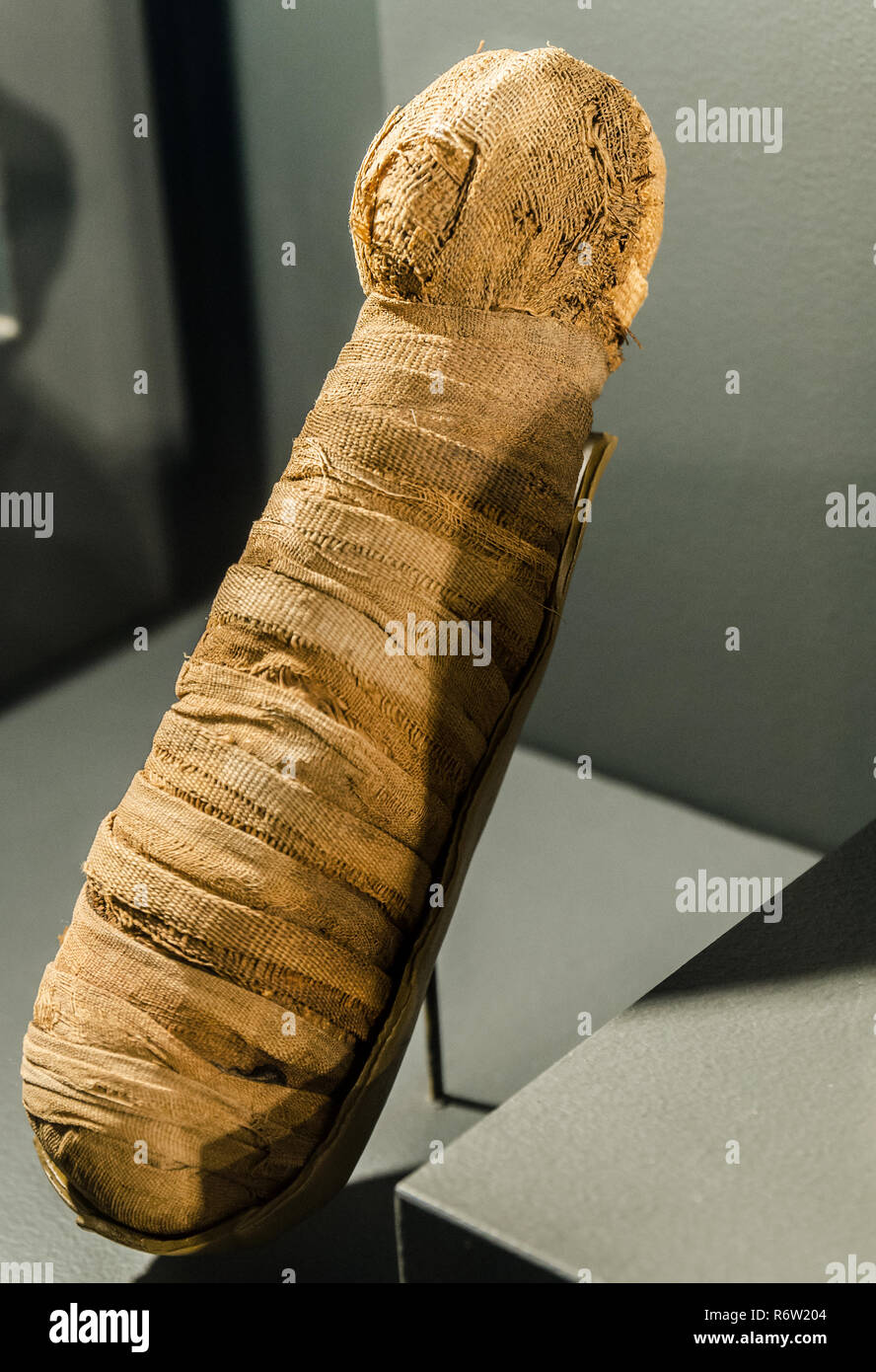 Un egiziano gattino mummia, circa 664-332 a.C., è visualizzato su Michael C. Carlos Museum alla Emory University, Luglio 8, 2014, ad Atlanta, Georgia. Foto Stock