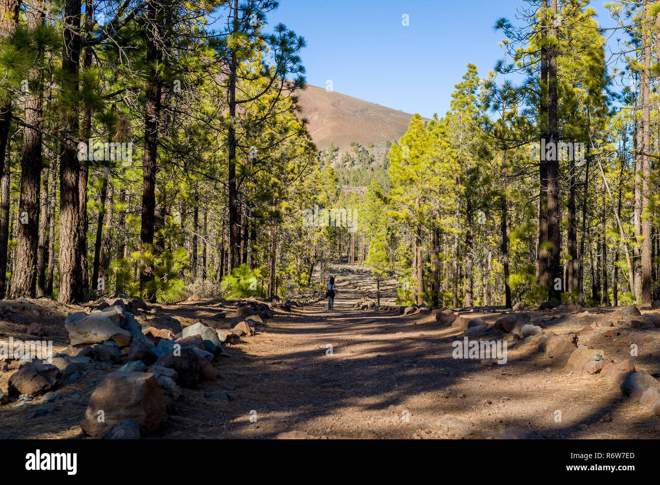 Passeggiate turistiche il percorso di trekking da Vilaflor a paesaggi lunari. Isola di Tenerife, Spagna. Foto Stock