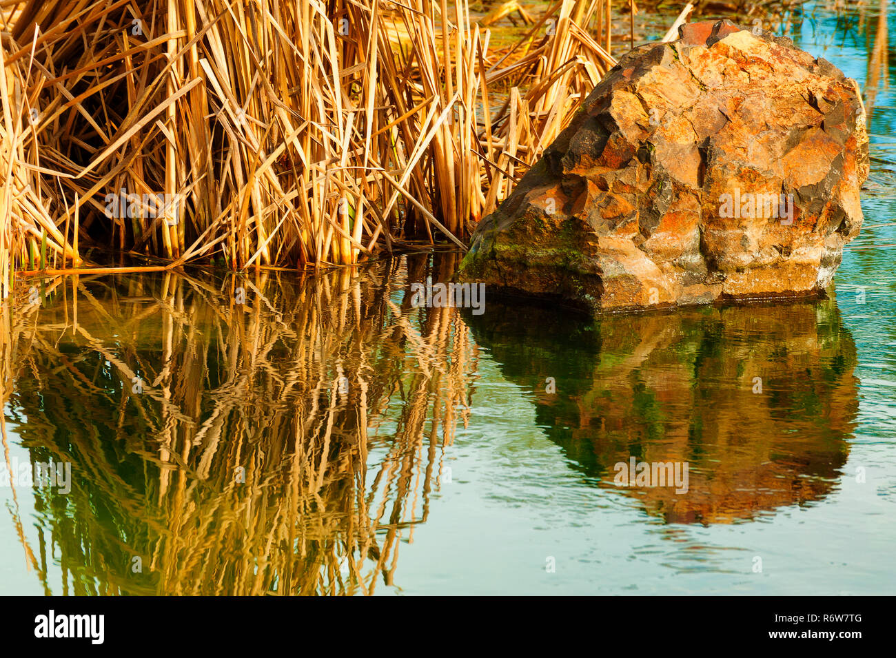 Una grande roccia si siede accanto all'autunno essiccato piante di palude sul bordo di un laghetto sia riflettendo in quasi acque calme. Foto Stock