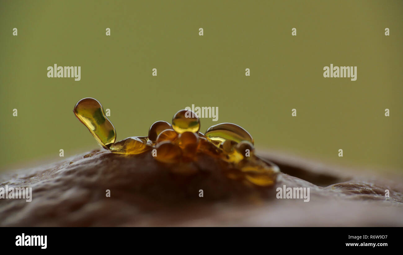 Naturale resina arancione Foto Stock