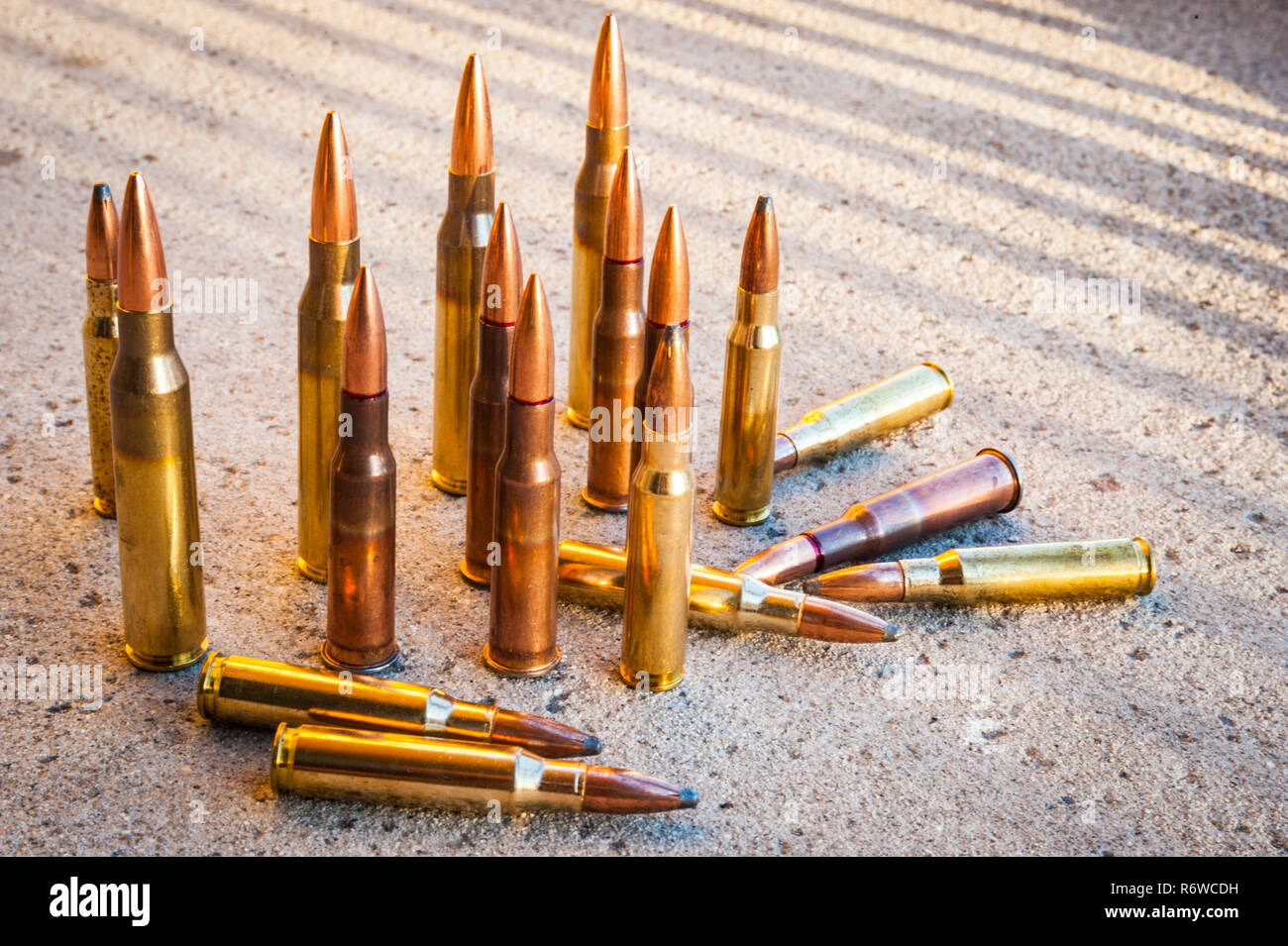 Vari tipi e dimensioni di munizioni per fucile su calcestruzzo Foto Stock
