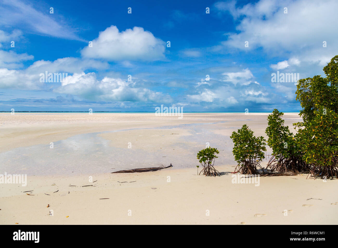Paradiso di sabbia spiaggia di azure blu turchese laguna poco profonda, Nord atollo di Tarawa, Kiribati, Isole Gilbert, Micronesia, Oceania. Palme e mangrovie Foto Stock