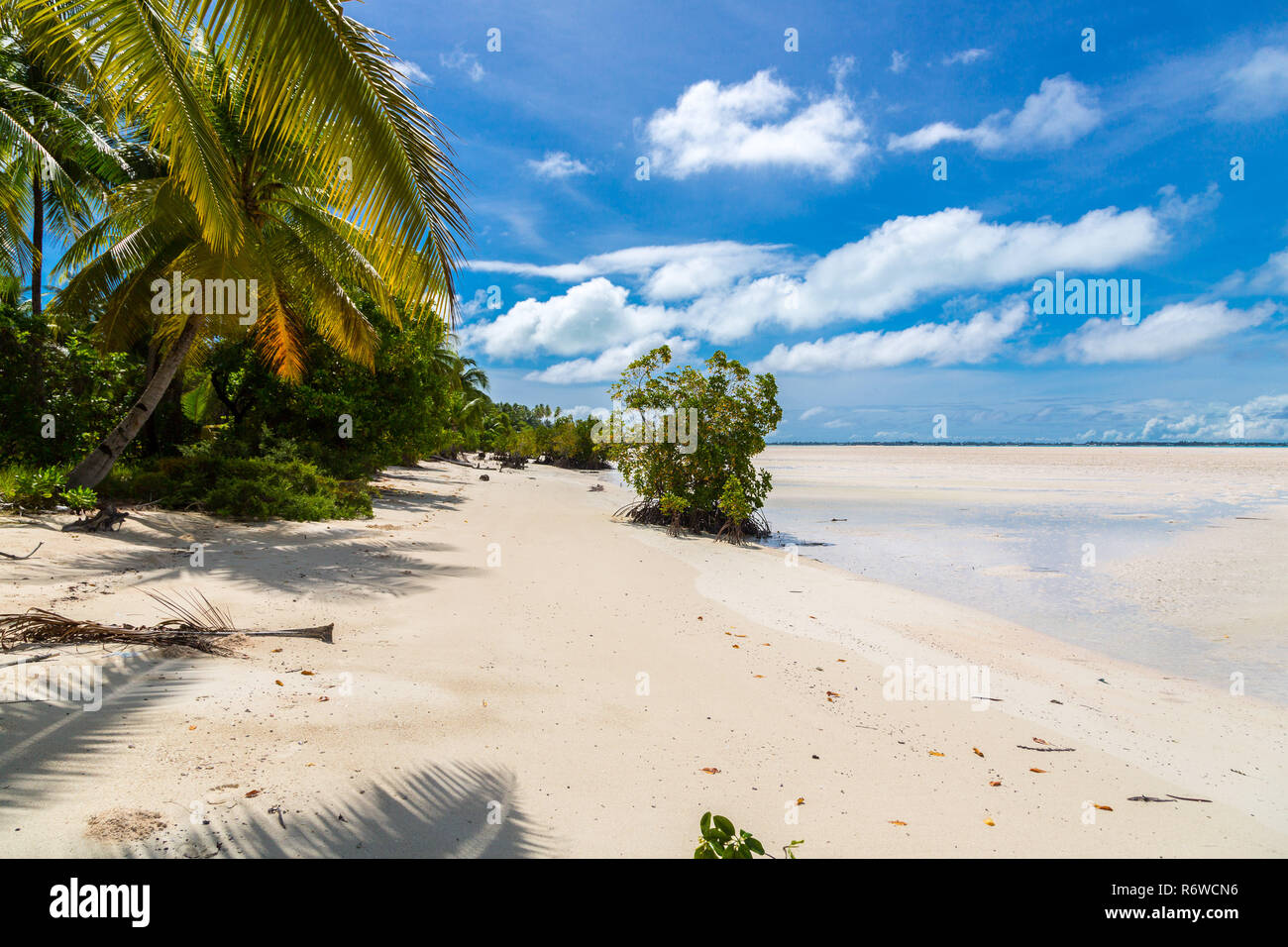 Paradiso di sabbia spiaggia di azure blu turchese laguna poco profonda, Nord atollo di Tarawa, Kiribati, Isole Gilbert, Micronesia, Oceania. Palme e mangrovie Foto Stock