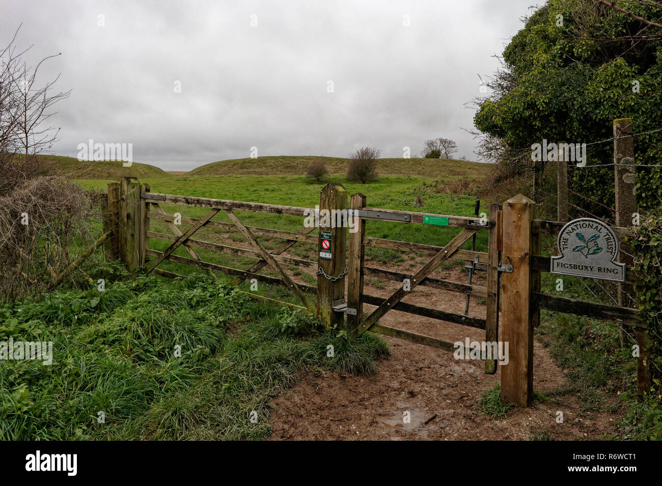 Anello di Figsbury SSSI sterro Foto Stock