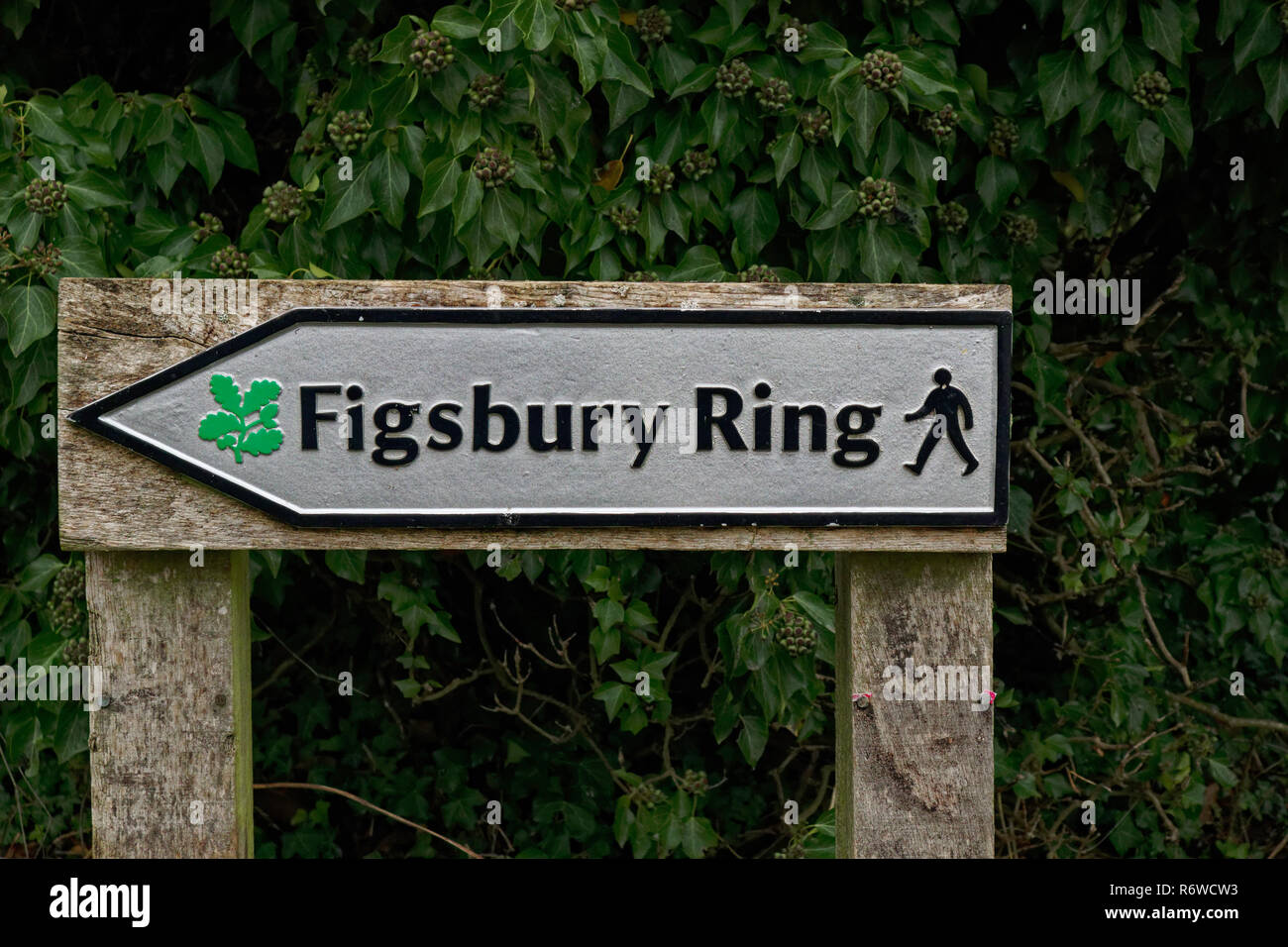 Anello di Figsbury SSSI sterro Foto Stock