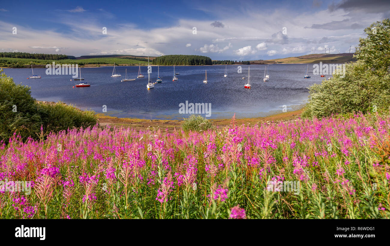 Barche ormeggiate su Llyn Brenig serbatoio, il Galles del Nord in una giornata di vento Foto Stock