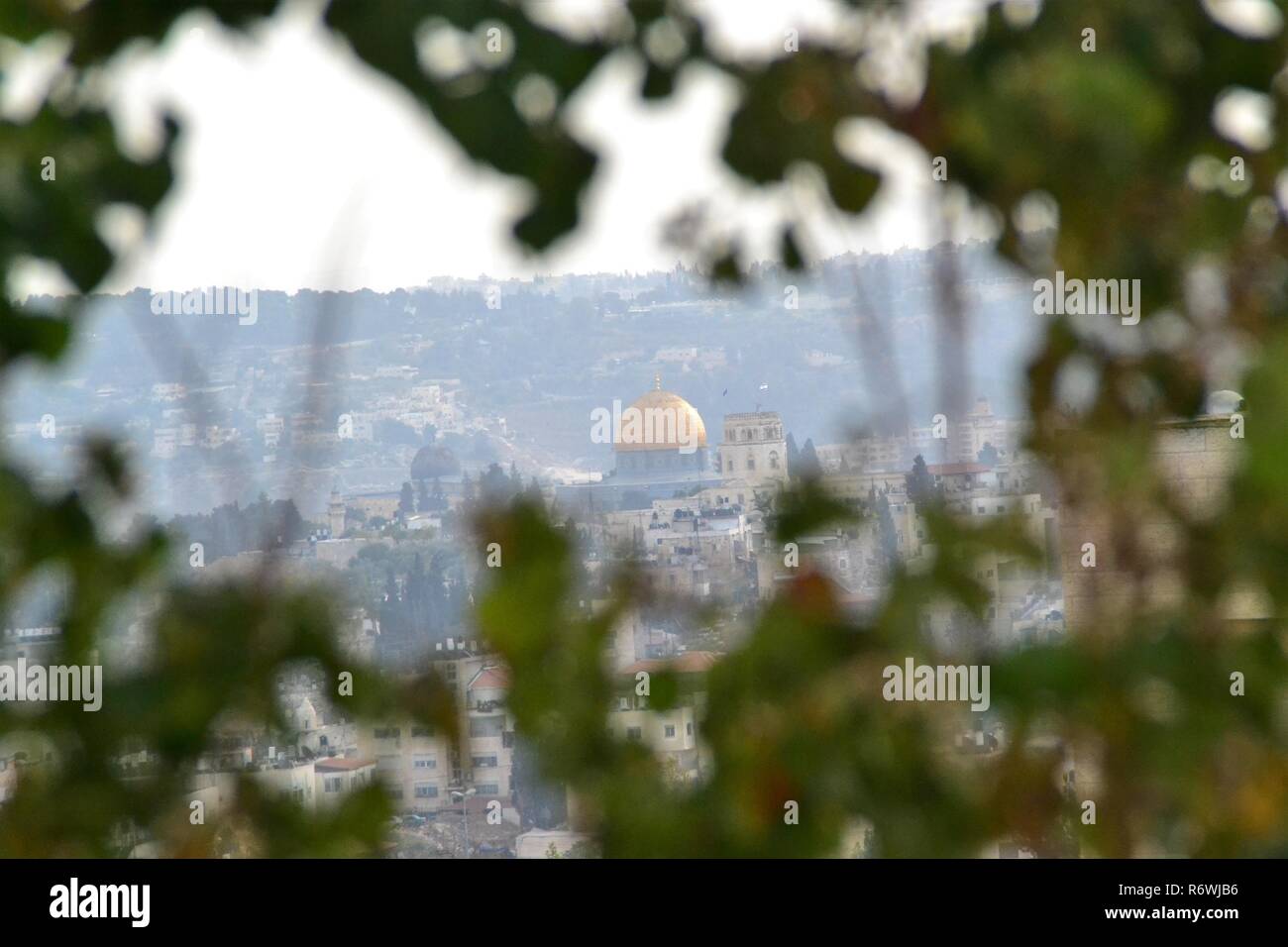 Cupola della roccia tra alberi, al Monte del Tempio di Gerusalemme Foto Stock