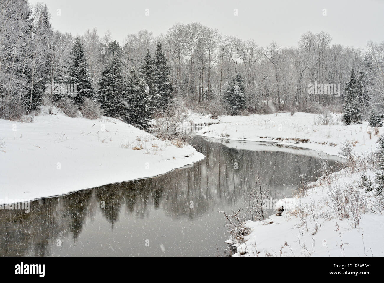 Junction Creek a inizio inverno con neve fresca, maggiore Sudbury, Ontario, Canada Foto Stock