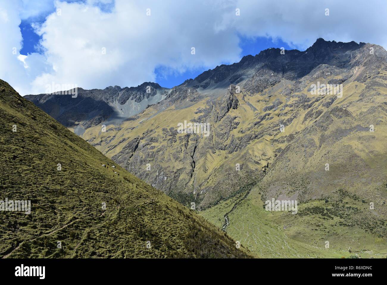 Andina paesaggi di montagna lungo il Salkantay trek a Machu Picchu, Perù. Foto Stock