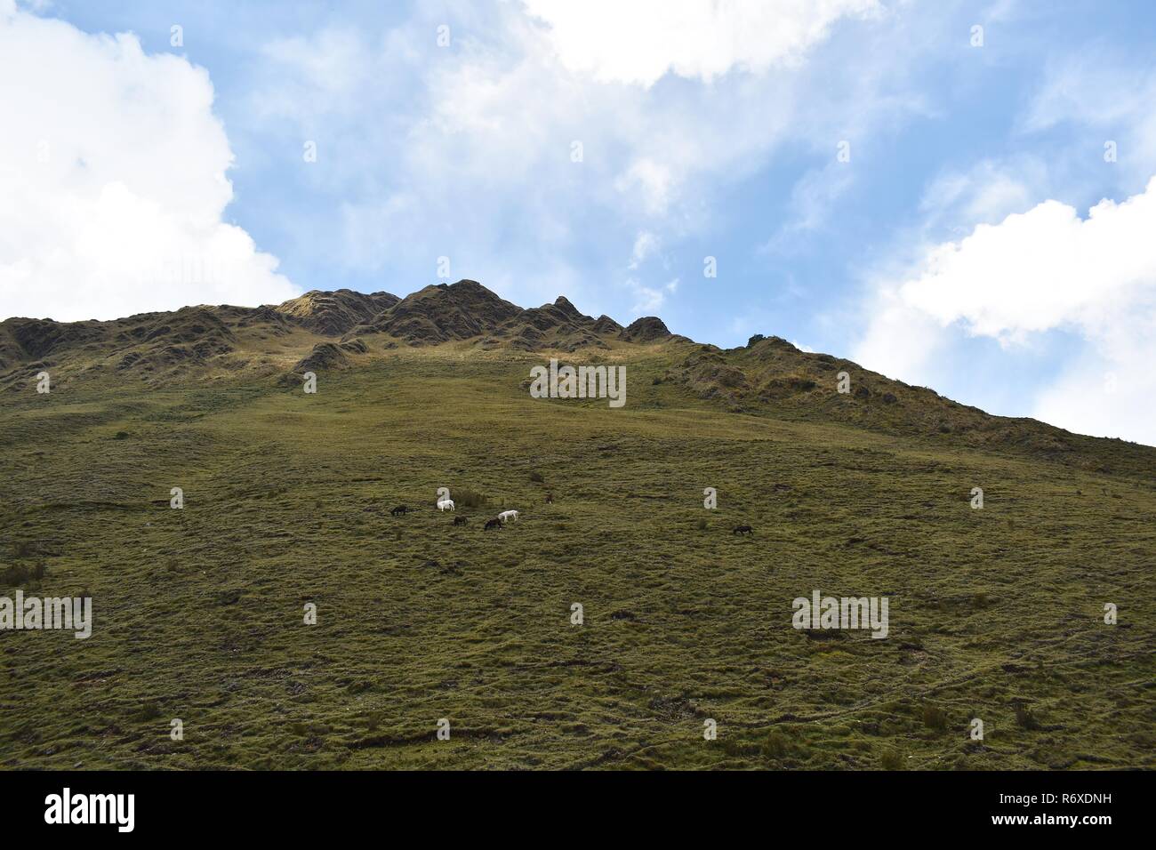 Andina paesaggi di montagna lungo il Salkantay trek a Machu Picchu, Perù. Foto Stock