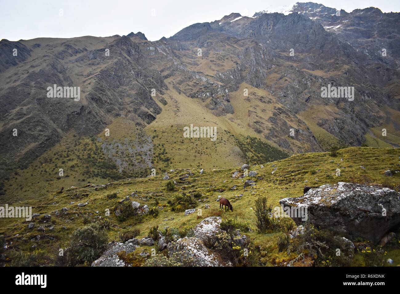 Andina paesaggi di montagna lungo il Salkantay trek a Machu Picchu, Perù. Foto Stock