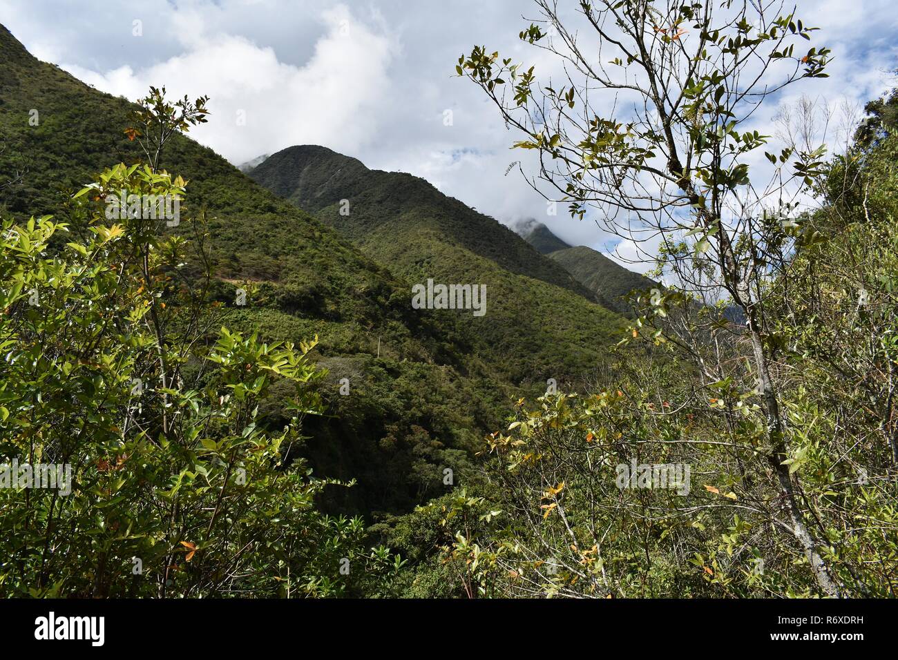 Andina paesaggi di montagna lungo il Salkantay trek a Machu Picchu, Perù. Foto Stock