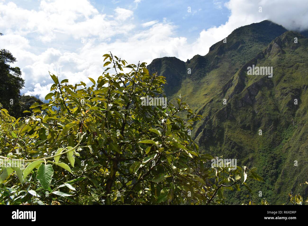 Andina paesaggi di montagna lungo il Salkantay trek a Machu Picchu, Perù. Foto Stock