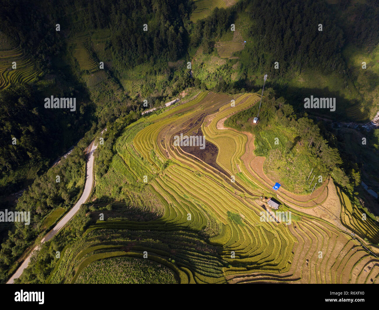 Vista aerea del Vietnam paesaggi. I campi di riso a terrazze di Um Cang Chai, YenBai. Royalty libero di alta qualità immagine immagine terrazza campi di riso Foto Stock