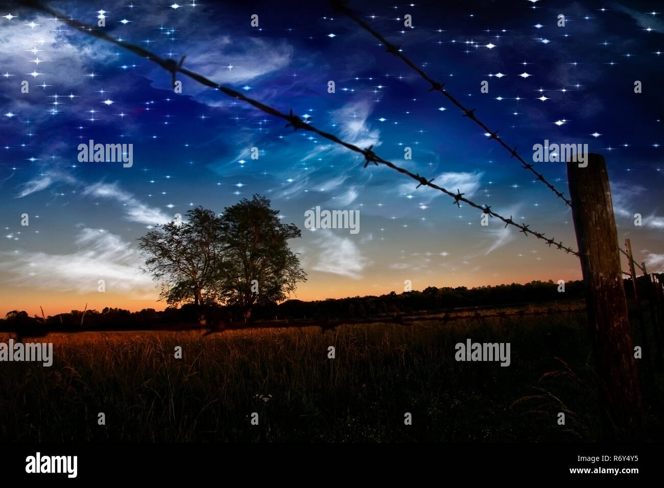 Notte stellata e gli agricoltori recinto e il campo Foto Stock