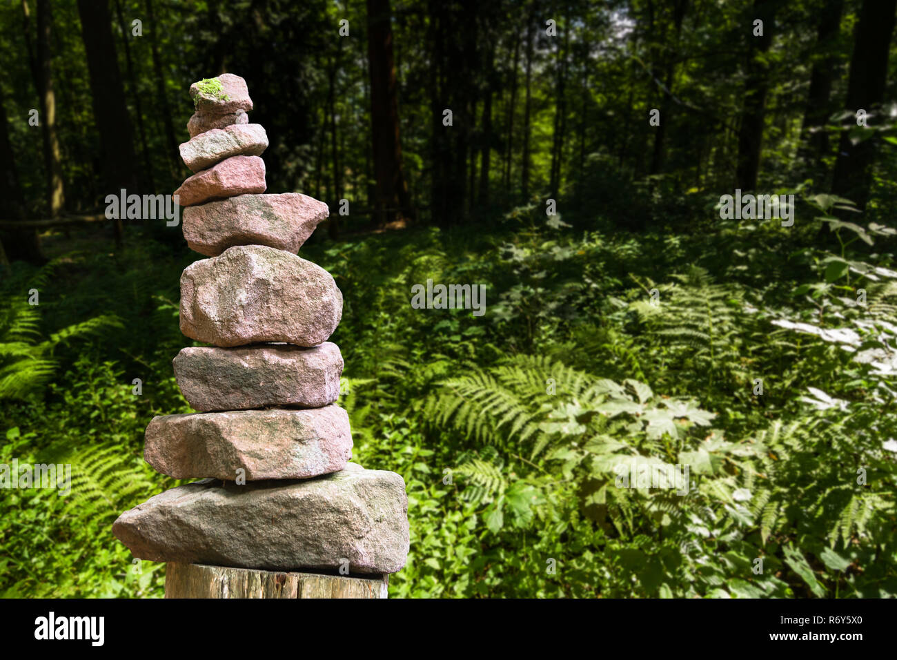 Impilati piramide di pietra di fronte a un prato con felci Foto Stock