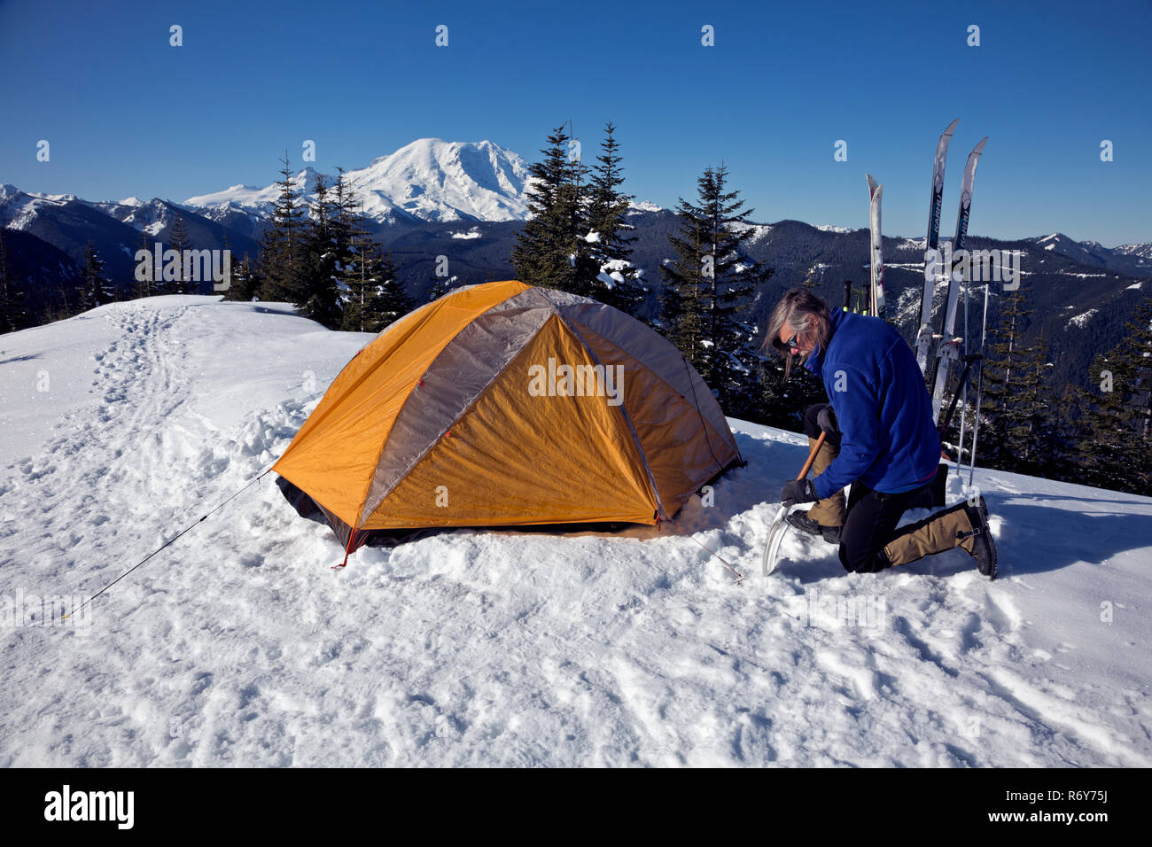 WA15446-00...WASHINGTON - lo scavo di picchetti di tenda al di fuori della neve congelati dopo una notte fredda sul vertice del Suntop montagna nel Monte Baker-Snoqualmie Foto Stock