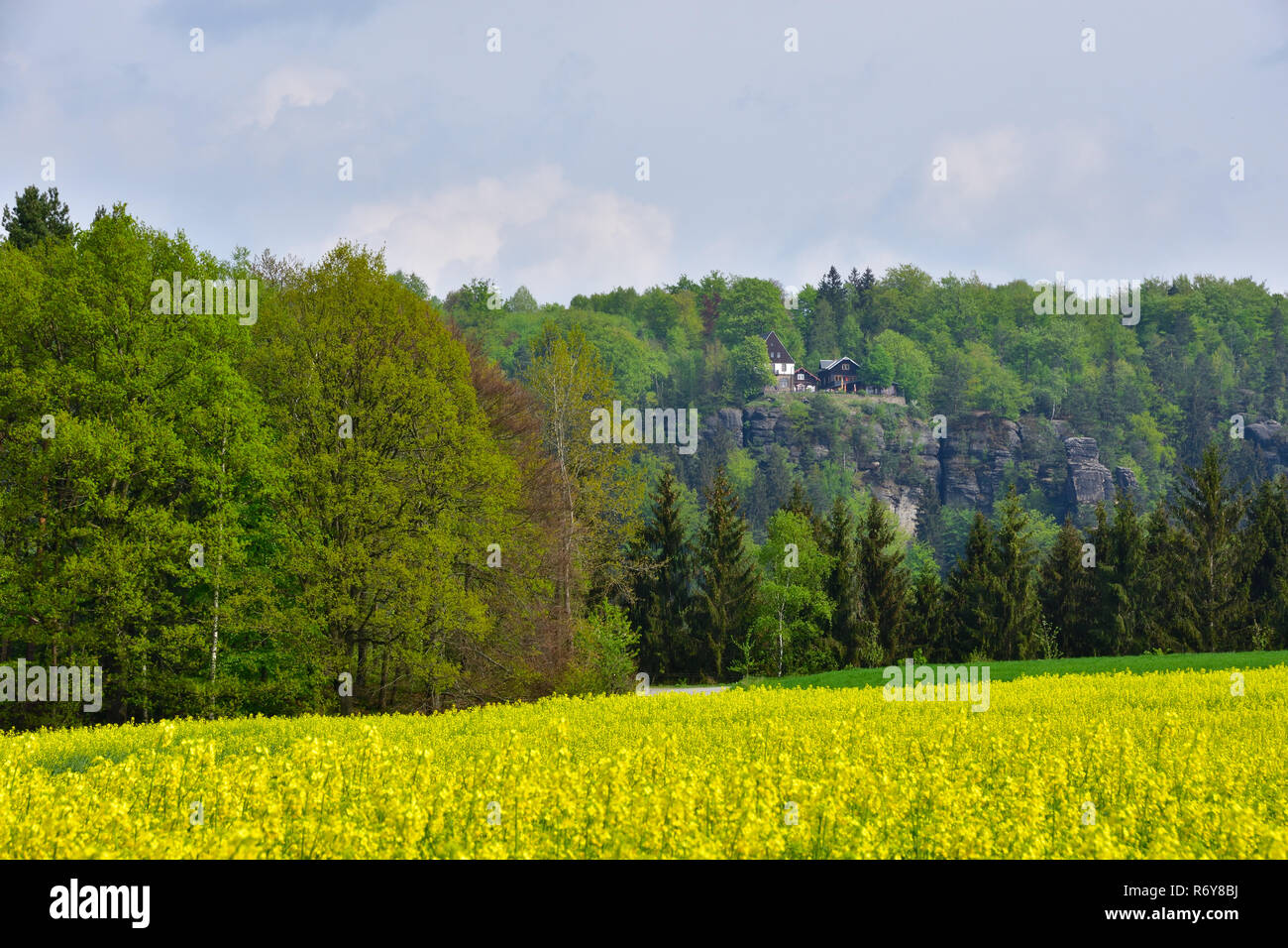 Vista da waltersdorf al fuoco Foto Stock