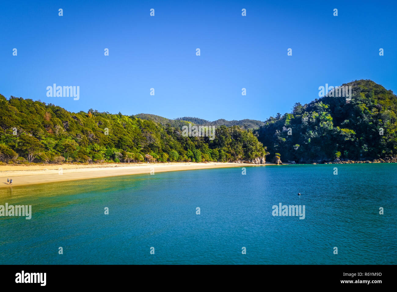 Parco Nazionale di Abel Tasman, Nuova Zelanda Foto Stock