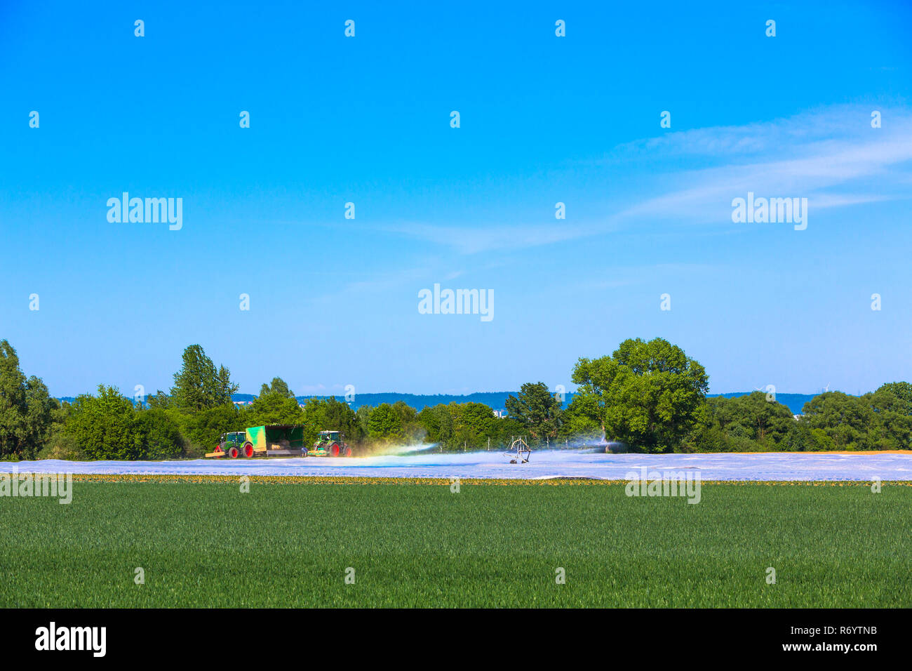 BewÃ KÃ¼nstliche¤sserung auf den Feldern Foto Stock