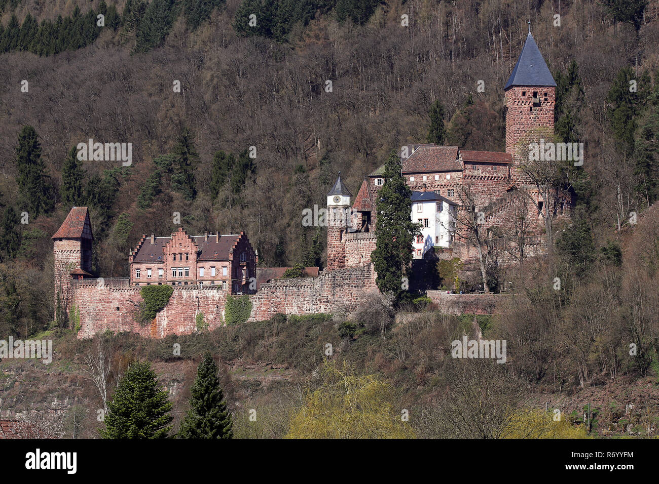 Castello zwingenberg Foto Stock
