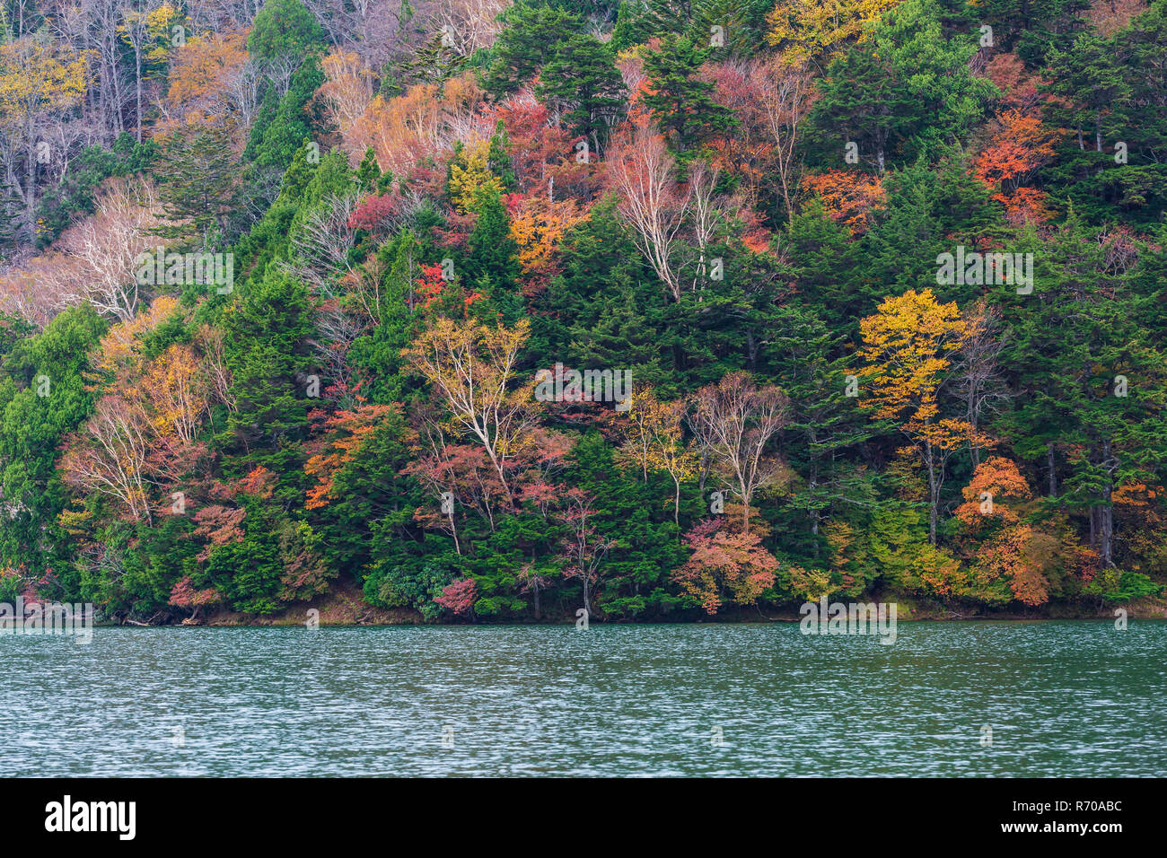 Vista del lago Yuno nella stagione autunnale al Parco Nazionale di Nikko, Nikko, Tochigi, Giappone. Foto Stock