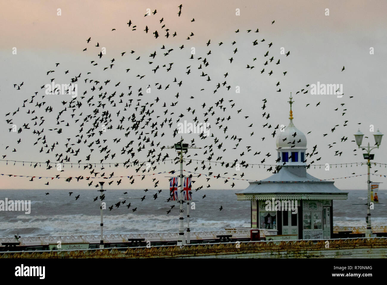 Blackpool, Lancashire. Il 7 dicembre 2018. UKWeather. Il cielo si oscura su Blackpool di decine di migliaia di storni sciame oltre il molo nord. Una stima di 20, 000 uccelli sono ' appollaiati in picchiata e la posizione per scegliere il posto migliore per far sopravvivere la notte fredda sulla costa di Fylde; descritto come l'ultimo ballo prima di andare a letto, la ragione per la piomba, torsione e fa roteare rimane in gran parte un mistero. Raggruppamento offre sicurezza in numeri - predatori come falchi pellegrini trovano difficile bersaglio un uccello nel mezzo di un gregge hypnotising di migliaia. Credito: MediaWorldImages/Alamy Live News Foto Stock