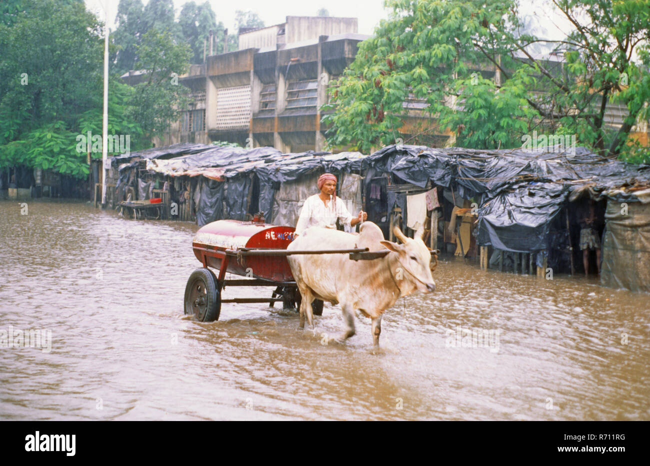 Kerosene Carrello passando attraverso la strada allagata, Mumbai Foto Stock