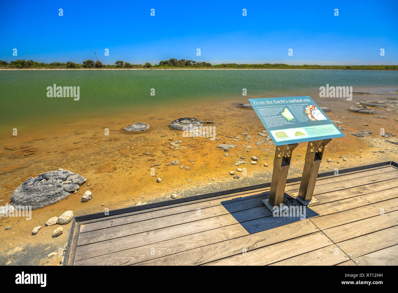 Cervantes, Australia - Dic 23, 2017: dichiarazioni interpretative informazioni di segno di Stromatolites al Lago Thetis, una soluzione salina lago costiere in Cervantes, Western Australia. Soleggiato con cielo blu. Foto Stock