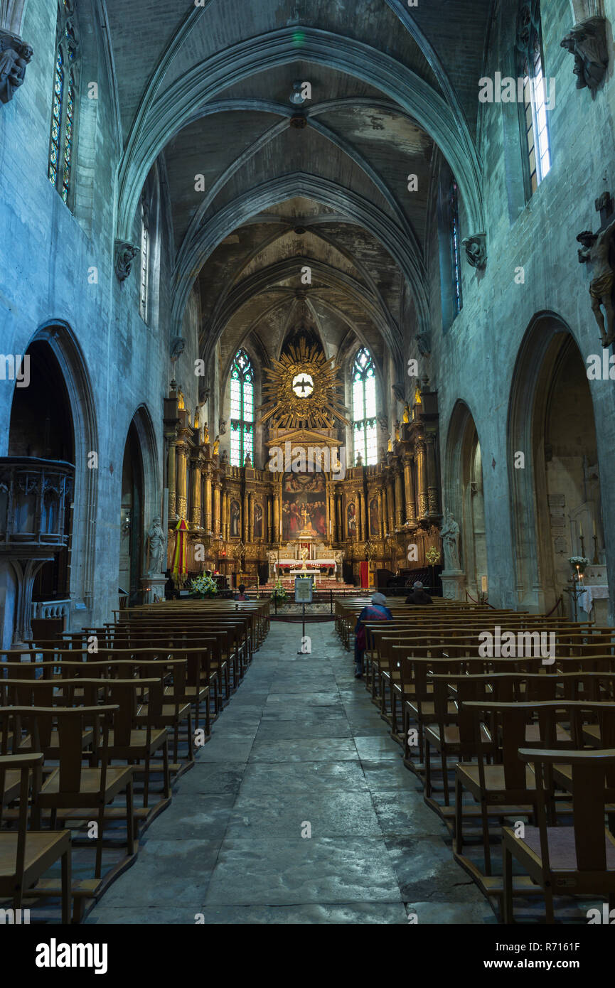 La Basilica di San Pietro, interno, Avignon Vaucluse Francia Foto Stock