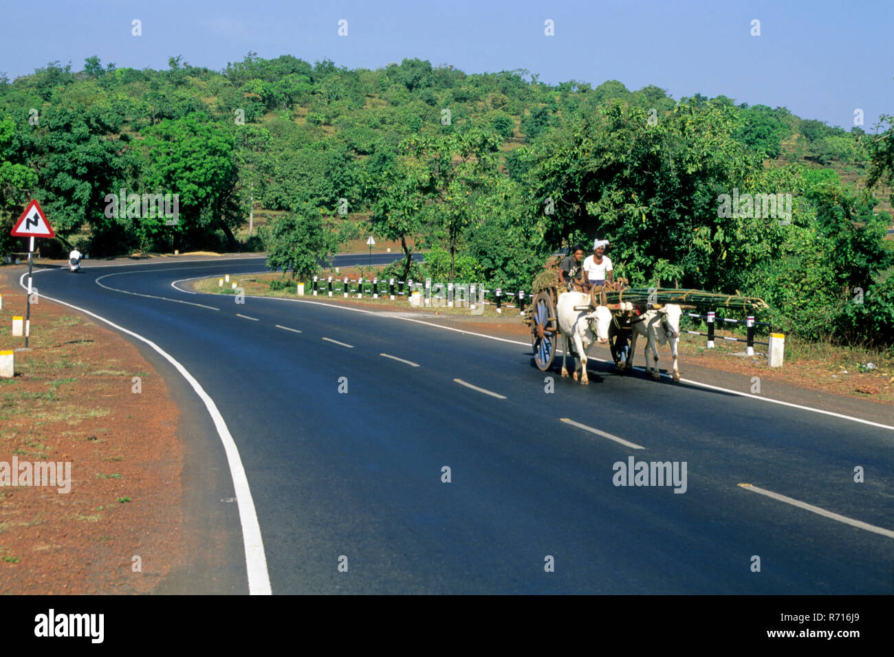 Carrello di giovenco passando sulla strada, goa autostrada, Maharashtra, India Foto Stock