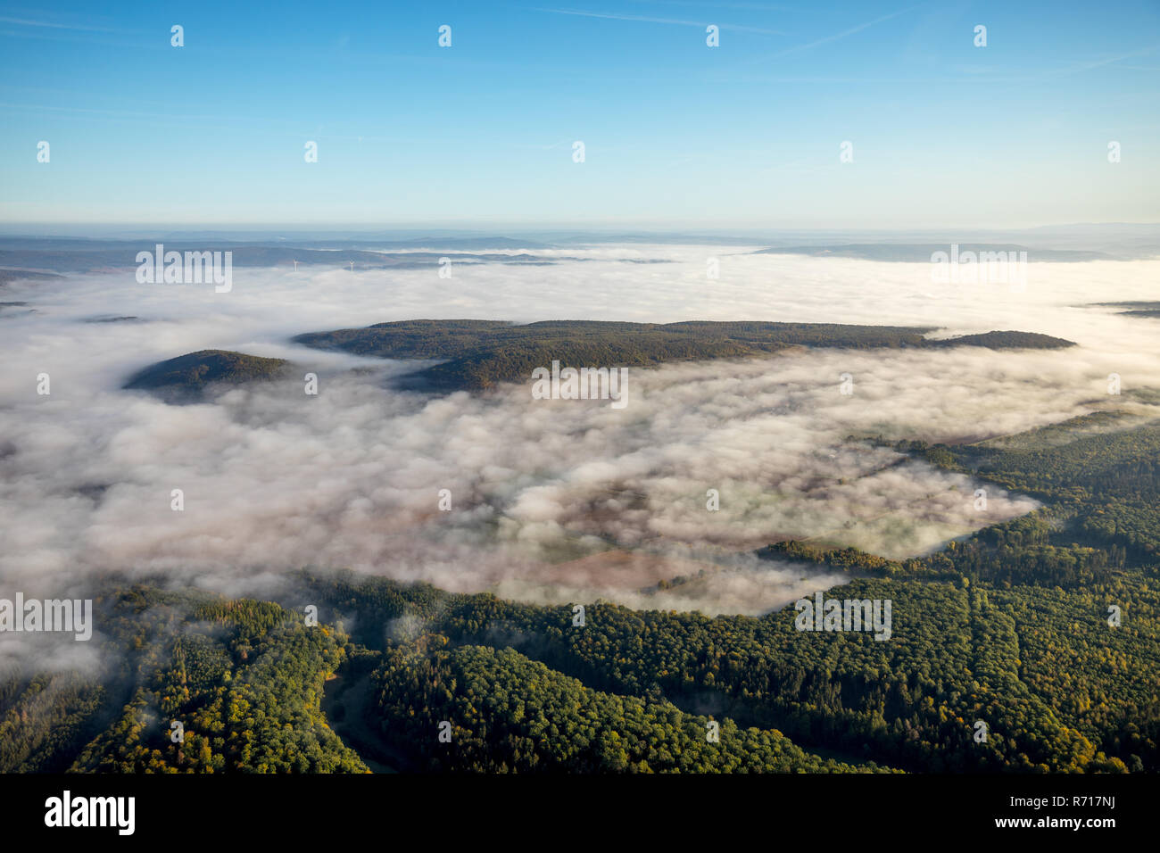 Vista aerea, high fog al di sopra dei boschi, nei pressi di Dassel, Bassa Sassonia, Germania Foto Stock