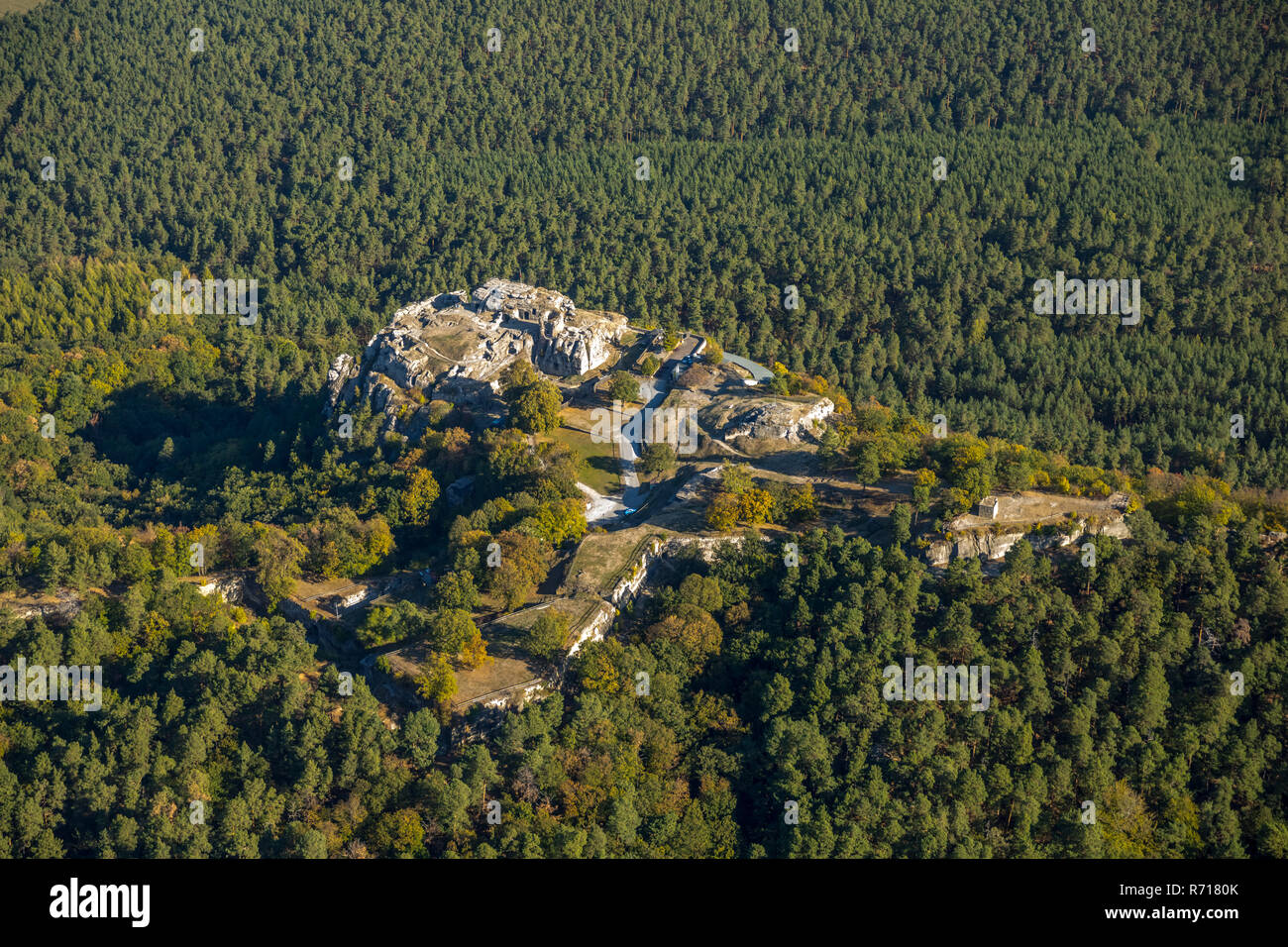 Vista aerea, la rovina del castello di roccia castello Regenstein, Am Platenberg, Blankenburg, Sassonia-Anhalt, Germania Foto Stock