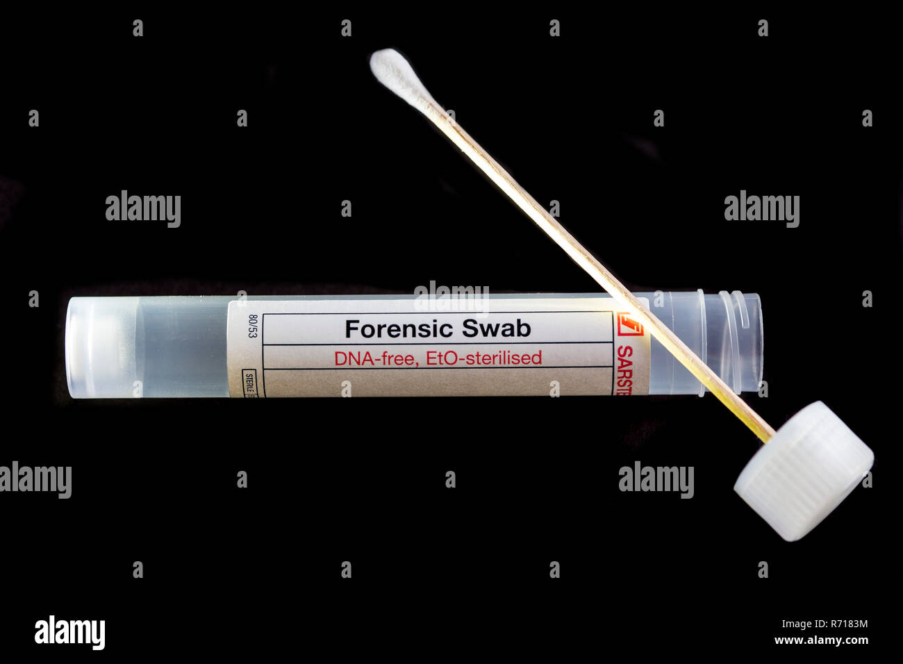 Forensic batuffolo di cotone per fissare il DNA, sterili, DNA di analisi in tracce Foto Stock