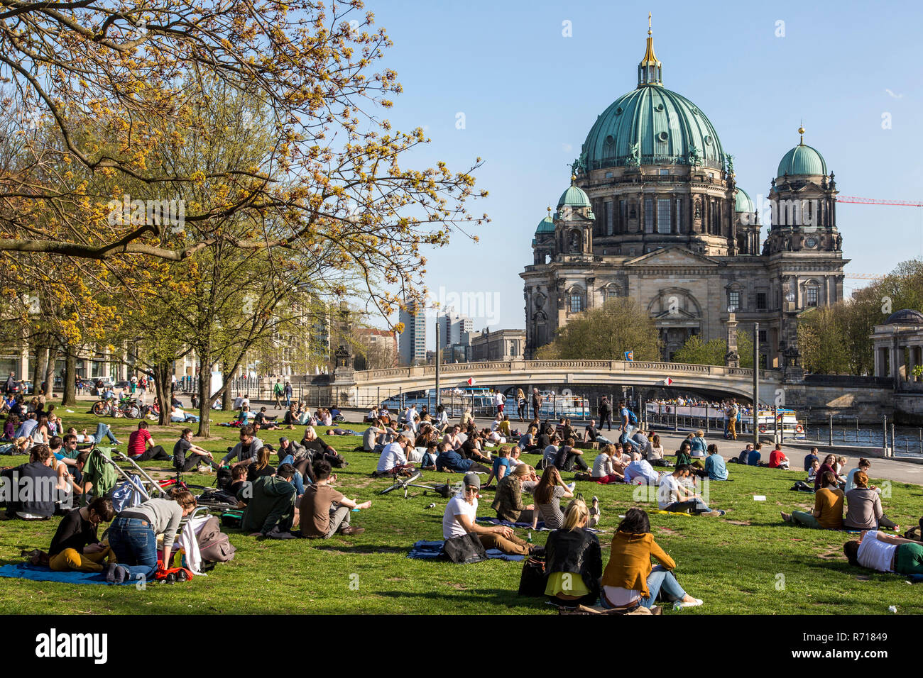 Primavera a Berlino, quartiere Mitte, vicino al fiume Sprea, James Simon Park, Cattedrale di Berlino, Berlino, Germania Foto Stock