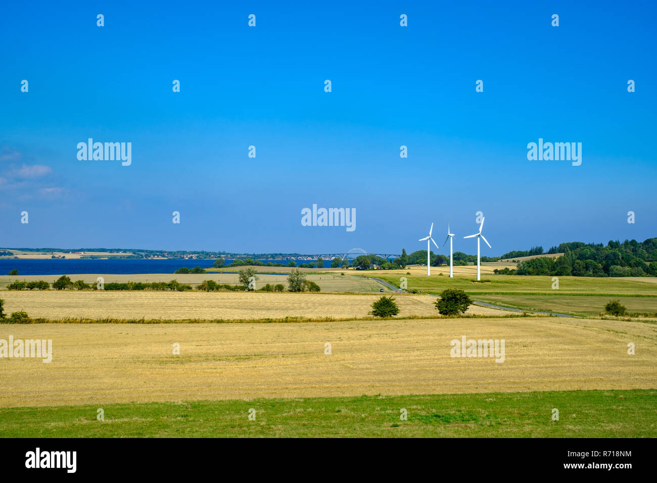 Area Rurale e delle turbine a vento su Western Moen Isola, Danimarca, Scandinavia, Europa. Foto Stock