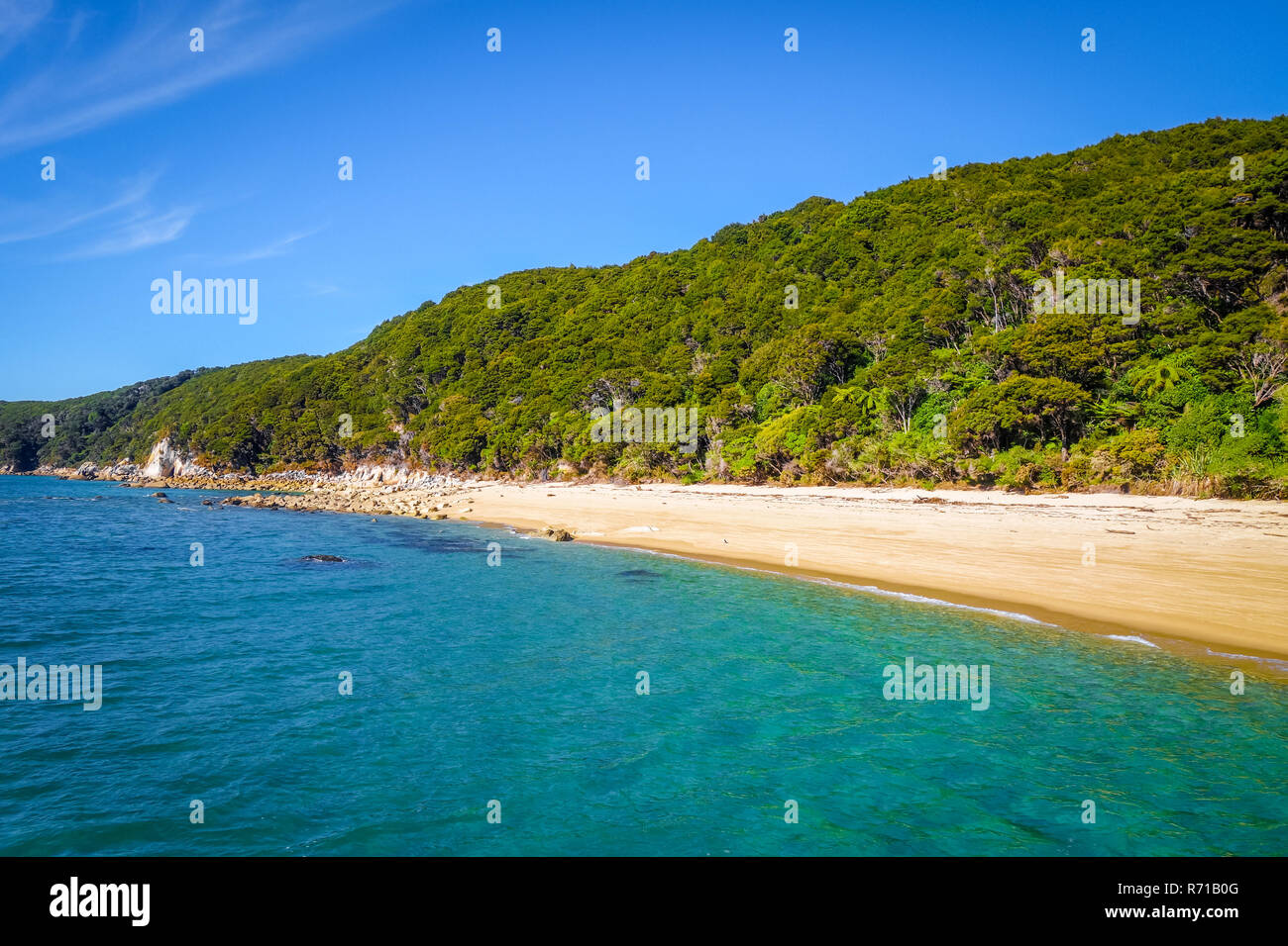 Parco Nazionale di Abel Tasman, Nuova Zelanda Foto Stock